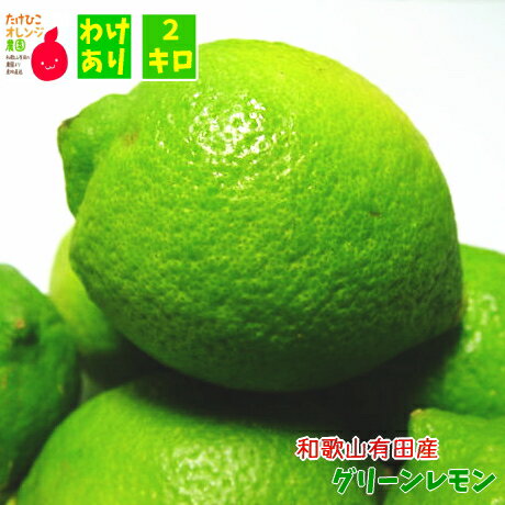 ご家庭用 わけあり 国産 (和歌山有田産) グリーンレモン 2kg_ 訳あり ノーワックス ノー防腐剤 減農薬 フルーツ 果物 送料無料 檸檬 くだもの 産地直送 人気 和歌山 和歌山県 有田のサムネイル