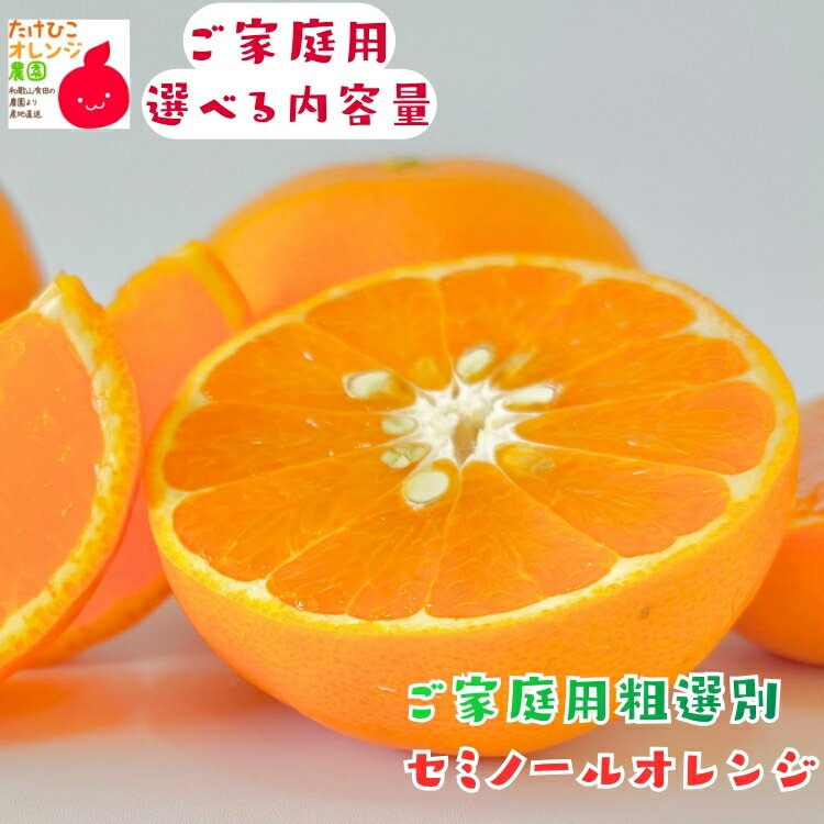 ご家庭用 粗選別 セミノール オレンジ 1～10kgまでお好みの内容量が選択可能_ わけあり 訳あり フルーツ 果物 送料無料 オレンジ くだもの 産地直送 和歌山 県 有田 自宅用 不揃い 国産 大容量