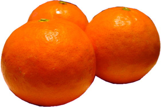 ��ͽ��� ���� ���ߥΡ��� ����� 1��10kg�ޤǤ����ߤ������̤������ǽ_ �ե롼�� ��ʪ ����̵�� ������� ����ľ�� ���ե� �²λ��� ͭ��