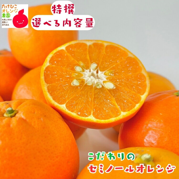 特撰 セミノール オレンジ 1～10kgまでお好みの内容量が選択可能_ フルーツ 果物 送料無料 くだもの 産地直送 ギフト 和歌山県 有田 国産 大容量