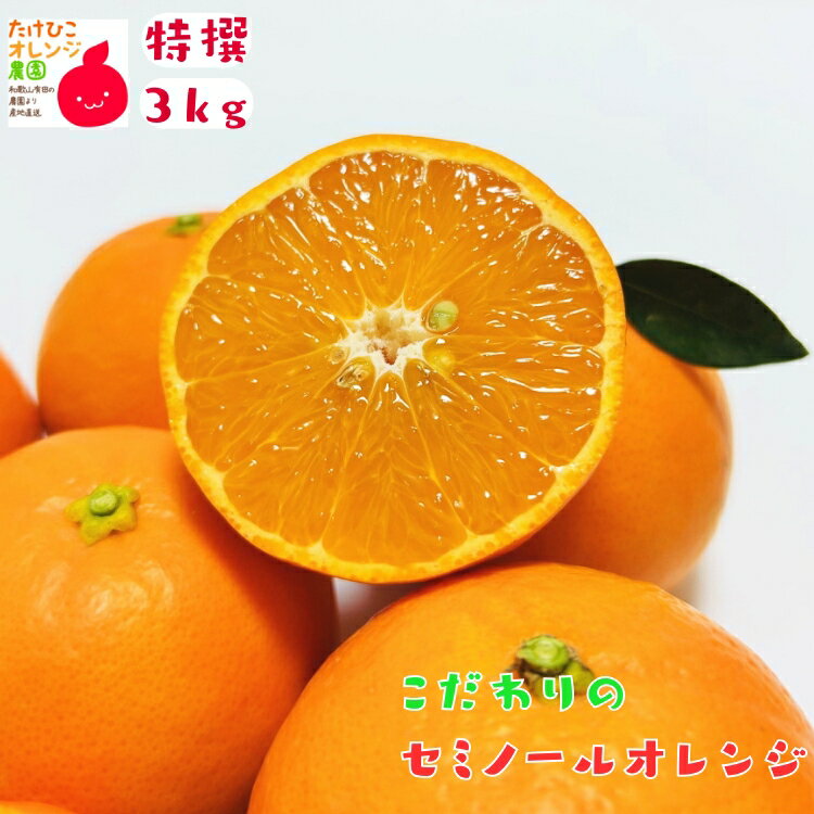 特撰 セミノール オレンジ 3kg_ フルーツ 果物 送料無料 オレンジ くだもの 産地直送 ギフト 和歌山 和歌山県 有田 国産