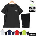 5/1限定ゲリラバーゲン 新作 プーマ Tシャツ ハーフパンツ 上下 ジュニア PUMA 半袖 吸汗 速乾 ドライ 588823 セットアップ 上下セット 男 女の子 キッズ 男の子 プラクティスシャツ プラシャツ スポーツウェア トレーニングウェア ドライ 速乾