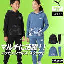 プーマ スウェット 上下 キッズ ジュニア セットアップ エッセンシャルズ 子供 フード付き フーディ 保温 裏起毛 黒 カモ 迷彩 ブランド PUMA 634105 上下セット 男 女の子 スポーツウェア トレーニングウェア スポーツ おしゃれ あす楽