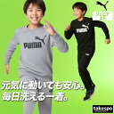 プーマ スウェット 上下 キッズ ジュニア セットアップ ナンバーワンロゴ 子供 クルーネック 裏毛 トレーナー 黒 ブランド PUMA 687795 上下セット 男 女の子 スポーツウェア トレーニングウェア スポーツ おしゃれ あす楽