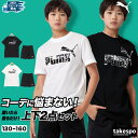 プーマ Tシャツ ハーフパンツ 上下 ジュニア セットアップ ESS カモ PUMA 687816 半袖 綿混 クルーネック コットン100% 綿100% SA...