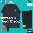 【マラソン限定】最大2000円クーポン! プーマ Tシャツ ハーフパンツ上下 ジュニア セットアップ PUMA 687845 綿100% 新作 上下セット 男 ...