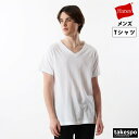 マラソン最大2000円オフクーポン! Tシャツ メンズ 半袖 吸汗 速乾 ヘインズ 吸水 アオラベル Vネック 3P 3枚セット HM2125G Hanes 大...