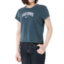 ナイキ Tシャツ レディース 半袖 コットン100% 綿100% スウッシュ スポーツ 紺 ネイビー NIKE IB7334 ウィメンズ かわいい 大きいサイズ 有 トップス ウォーキング ウェア スポーツウェア トレーニングウェア おしゃれ ブランド 新作