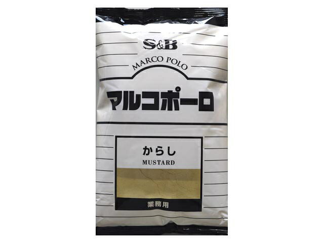 【送料無料】【1個販売】エスビー食品　マルコポーロ　からし　300g