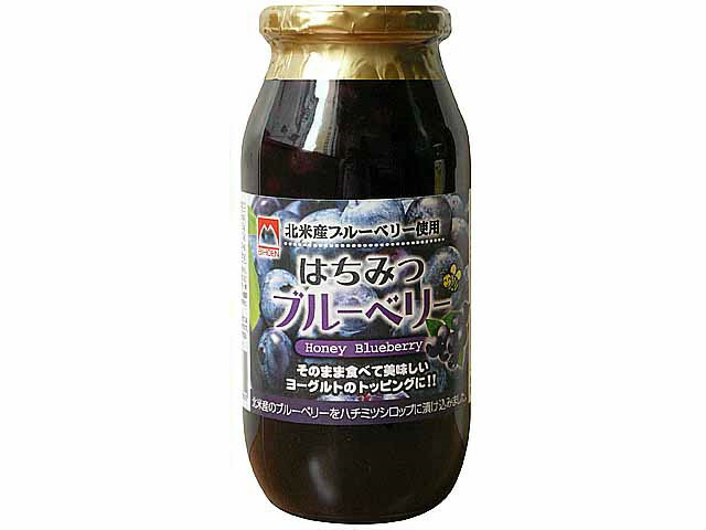 【送料無料　6個販売】加藤美蜂園印　　蜂蜜ブルーベリー　650g