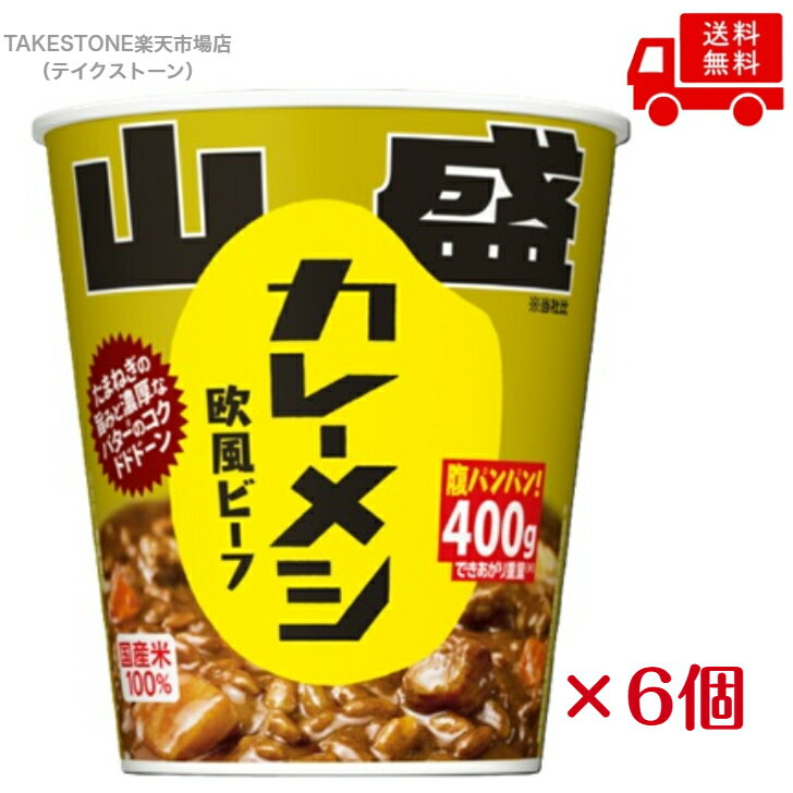Rakuten - 送料無料　まとめてお得【6個販売】日清　山盛カレーメシ 欧風ビーフ　400g