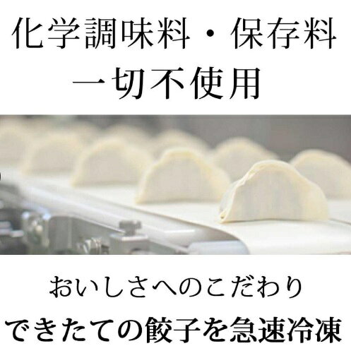 テイクストーン 楽天市場店の【冷凍】送料無料【8個販売】マルマツ　浜松餃子　肉ニラ生餃子（30ヶ入）｜アングル3