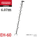 長谷川工業 枝打はしご EH-60 全長:6.07m 質量:12.4kg 林業用ジョイント式はしご ハセガワ