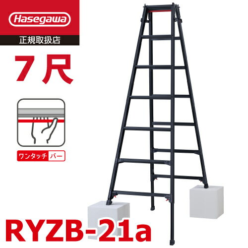 Ĺë(ˡ͸)Ϥѿ̵ΩRYZB-21a7ܥ֥å̼(⤵Ĵ31cm)ŷĹ⤵1.912.22mϥ