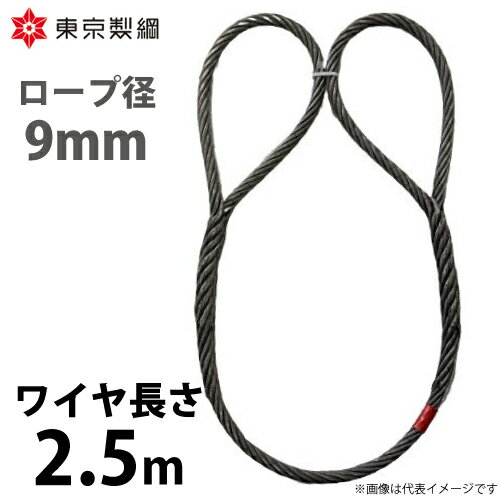 東京製綱 ワイヤーロープ ハイクロスワイヤ 両アイ巻差し(編込み) ワイヤ径：9mm 長さ：2.5m 重量：1.01kg