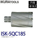育良精機 ライトボーラー専用刃物 ISK-5QC185 LBクイックカッター 超硬 穴径:Φ18.5 現場での鋼板形鋼の穴あけに(4)