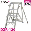 sJ/Pica ܂肽ݎƑ DXR-120 őgpʁF120kg VꍂF1.2m