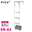 sJ/Pica p C[[v͂ ER-63 SF6.51m