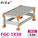 sJ/Pica ƑiDanchiV[Y) FGC-1X30 ʁFȔ^Cv őgpʁF150kg VꍂF0.3m iF1 ʁF10.0kg _`