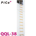 sJ/Pica pLk͂ QQL-38 őgpʁF100kg SF4.5m