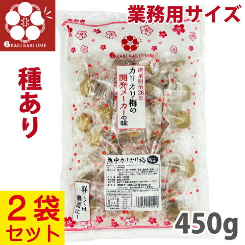 赤城フーズ 熱中カリカリ梅 業務用サイズ 450g 2袋セット ガツンとスッパしょっぱい国産カリカリ梅 赤城フーズ 熱中カリカリ梅 業務用サイズ 450g 2袋セット ガツンとスッパしょっぱい国産カリカリ梅