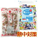 ●赤城フーズ　熱中カリカリ梅 □内容量:500g（約40粒） □原材料:梅(国産)、漬け原材料[食塩、醸造酢、酒精、りんご酢、かつおぶしエキス]調味料(アミノ酸等)、酸味料、甘味料(ステビア)、香料、みょうばん □賞味期限：入荷時期により異なります □保存方法：直射日光、高温多湿を避けて常温で保存してください。 　※開封後は冷蔵庫に入れ、お早めにお召し上がりください。 ●赤穂化成　灼熱対策　塩タブレット　ミックス □内容量:500g×1 □原材料: 　◎レモン味:ぶどう糖、塩/クエン酸、ショ糖エステル、香料、塩化K、乳酸Ca、甘味料(スクラロース) 　◎カシス味:ぶどう糖、塩/クエン酸、ショ糖エステル、香料、塩化K、乳酸Ca、甘味料(スクラロース) 　◎パイン味:ぶどう糖、塩/クエン酸、ショ糖エステル、香料（乳成分を含む）、塩化K、乳酸Ca、甘味料(スクラロース) ※北海道、沖縄県、離島へのお届けには別途送料が掛かります。