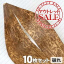 【訳ありアウトレットSALE】 国産竹皮(破れ)10枚組 サイズ色々、破れや切れ目あり 熟練職人が節間の長い真竹を 厳選 繰り返し使える丈夫さ 天然の抗菌性 蒸...