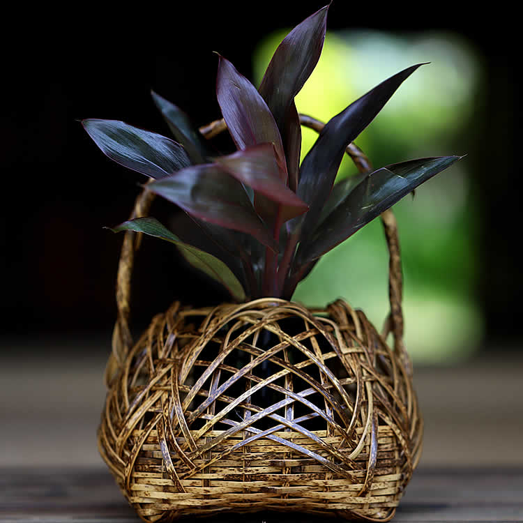 楽天市場】竹 花籠の通販