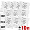 【国産・日本製】 調湿竹炭パック(大)10個セット 室内用 湿気対策 除湿 除湿剤 消臭 半永久 繰り返し使用 電気代節約 二重不織布 布団 押入 衣装ケース 下駄箱 キッチン 車内
