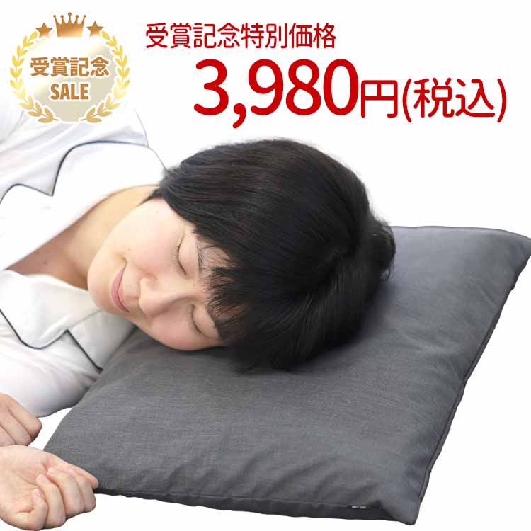 【25%OFFクーポン配布中！初夢セール 1月6日正午まで】【国産】100％竹炭快眠ピロー 35×50cm 竹炭 枕 ピロー たけすみ タケスミ まくら マクラ 日本製 安眠 熟睡 睡眠 炭眠除湿 マイナスイオン 天然100％ 不眠症 Charcoal エアリー 硬めのサムネイル