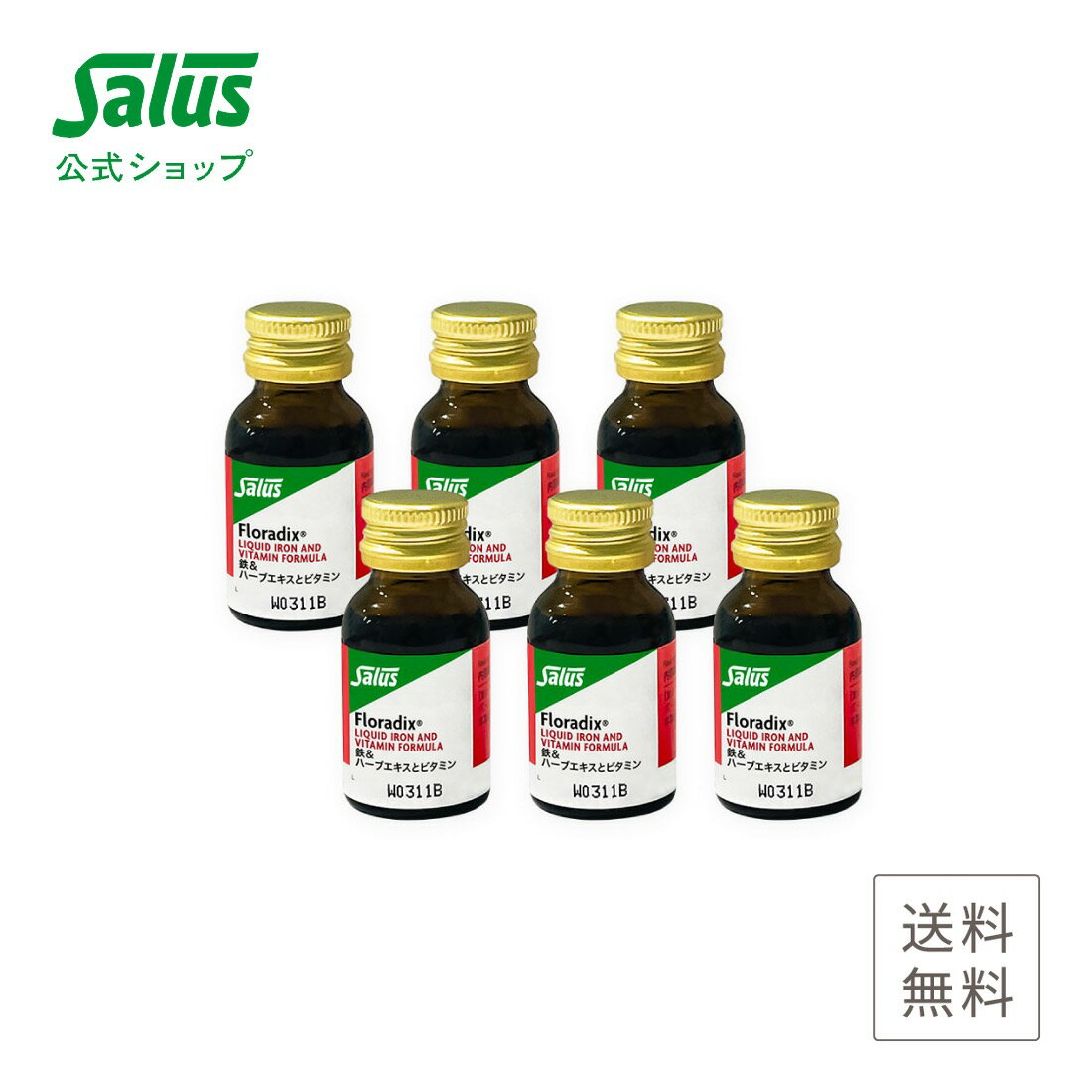 フローラディクスお試しセット（10ml×6本）Salus Haus【メーカー公式】 floradix 鉄分サプリ 鉄分ドリンク 鉄分補給 美味しい 液体 サジー ビタミン ビタミンB フルーツ ハーブ 健康 美容 送料無料 二価鉄 豊潤 鉄 ドイツ サルス