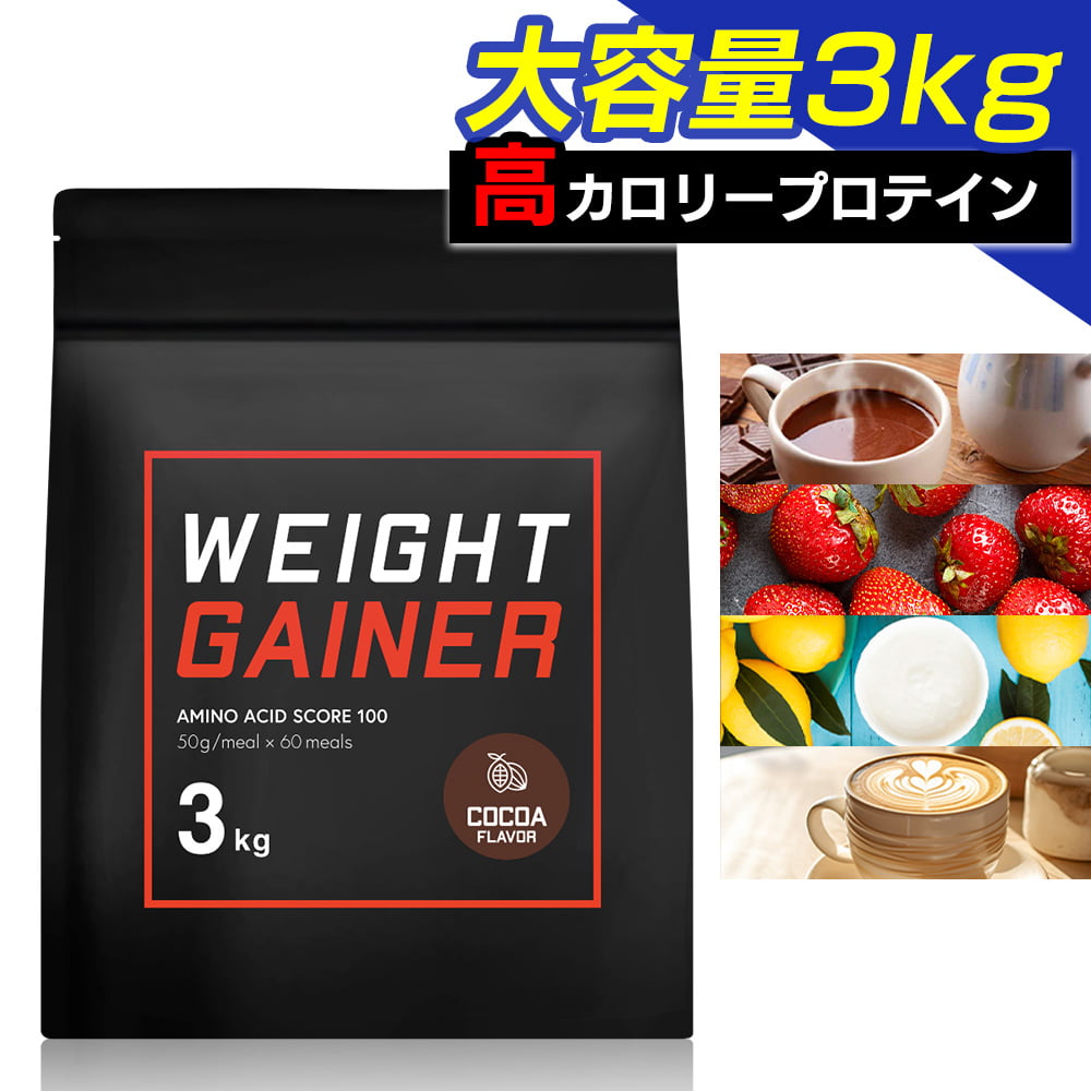 ウエイトゲイナー プロテイン 3kg 武