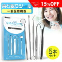 【15%OFF】 歯石取り ツール 5本セット 【一般医療機器】 歯石除去 スケーラー 歯石とり ヤニ取り 歯石 歯 セルフ ケア ホワイトニング 自宅 簡単 健康 デンタルケア セット ケース 器具 除去 ステンレス 製 口内 デンタル 歯用 スマホワイト 武内製薬 送料無料