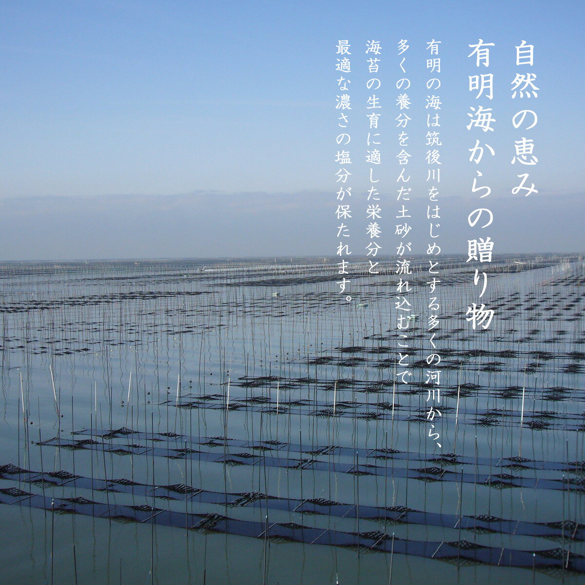 【5のつく日特別クーポン配布中!】有明海産 一番摘み 高級 味付け海苔 大缶 詰替え用 4切80枚 無添加 だし 竹内海苔 エコ 詰め替え 乾燥剤入り 大容量 海苔 のり 国産 ご飯のお供 朝食 お弁当 おにぎり リピート まとめ買い 買い回り スーパーセール おすすめ 人気 takeuchinori-10000001 竹内海苔 楽天市場店 サンプル画像3