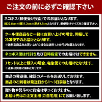 【メール便送料無料】ほたて焼きスタミナ源たれ味3パック/ほたて焼きスタミナ源たれ味5粒入×3パック