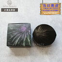 【国内正規品】ポーラ POLA B.A フィニッシングパウダー N ケース(4953923308851)