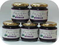 【無農薬】【手摘み】【手作り】【受注加工】無添加・低糖ブルーベリージャム加糖20% 200g