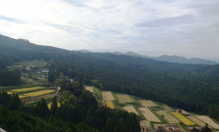切り餅（白餅）5合