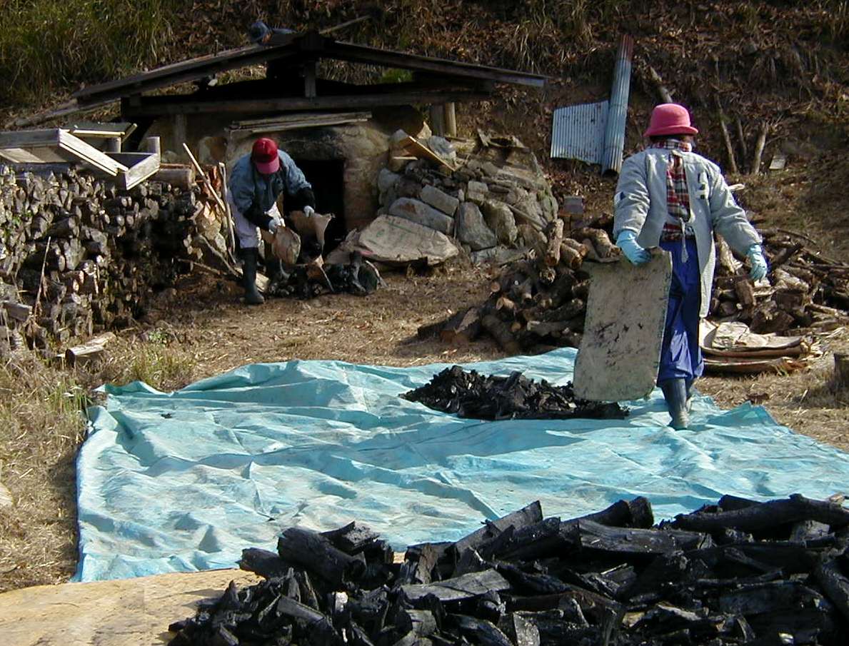 木炭4kg小バラ サイズ(奈良県宇陀市産クヌギ黒炭)【炭焼き料理】【マルチング材】【鉢底石】【粒状木炭】【防虫】【脱臭】通販格安セール情報 楽天 通販