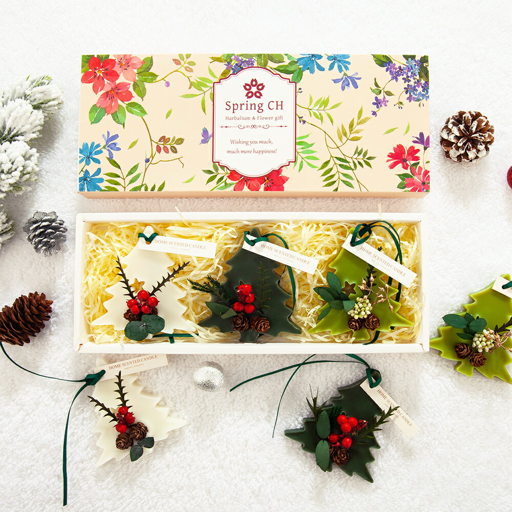 2026 ������ ��å��������� �ĥ꡼�� 3�ĥ��å� ������ / �ץ쥼��� ���ե� ������ ��å��� ������ �����ޥץ졼�� ˧��� ���� ˧��� �ץꥶ���֥ɥե� �ɥ饤�ե� �ե쥰��� �����ޥ����ɥ� ������� ��ǰ�� ��ǰ�� ���� �ץ����ե� �࿦