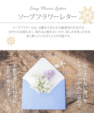 まだ間に合う！母の日プレゼントソープフラワー 花封筒 / 母の日 卒業 入学 卒園 義理 お返し 卒業式 卒園式 卒業祝い スタンディング 誕生日 プレゼント アレンジメント ボックス 花束 花 ギフト ひまわり 桜 送料無料 ソープ フラワー あす楽 お祝 ソープ フラワー ブーケ