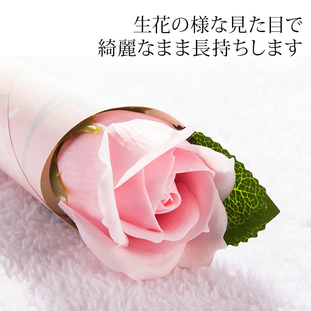 ��´�ȼ��ˡ��� 1�� �����ץե� �Х� / 1�� 2026 ������ ���� ���ͼ� ���޻� �뺧�� ���٥�� �ץ����ե� ���֤� �󼡲� 1�� ¤�� ���ե� �ץ쥼��� �࿦ ���� �ѡ��ƥ��� ��쵭ǰ �� ��« �İ��� ������� �Ϥ�ʤ��� ���� �֡���