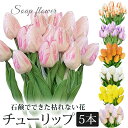 ソープフラワー 5本 セット チューリップ 花材 / 造花 素材 材料 5輪 花 クラッチブーケ 誕生日 結婚式 ウェディング 卒業式 入学式 退職 送別会 歓...