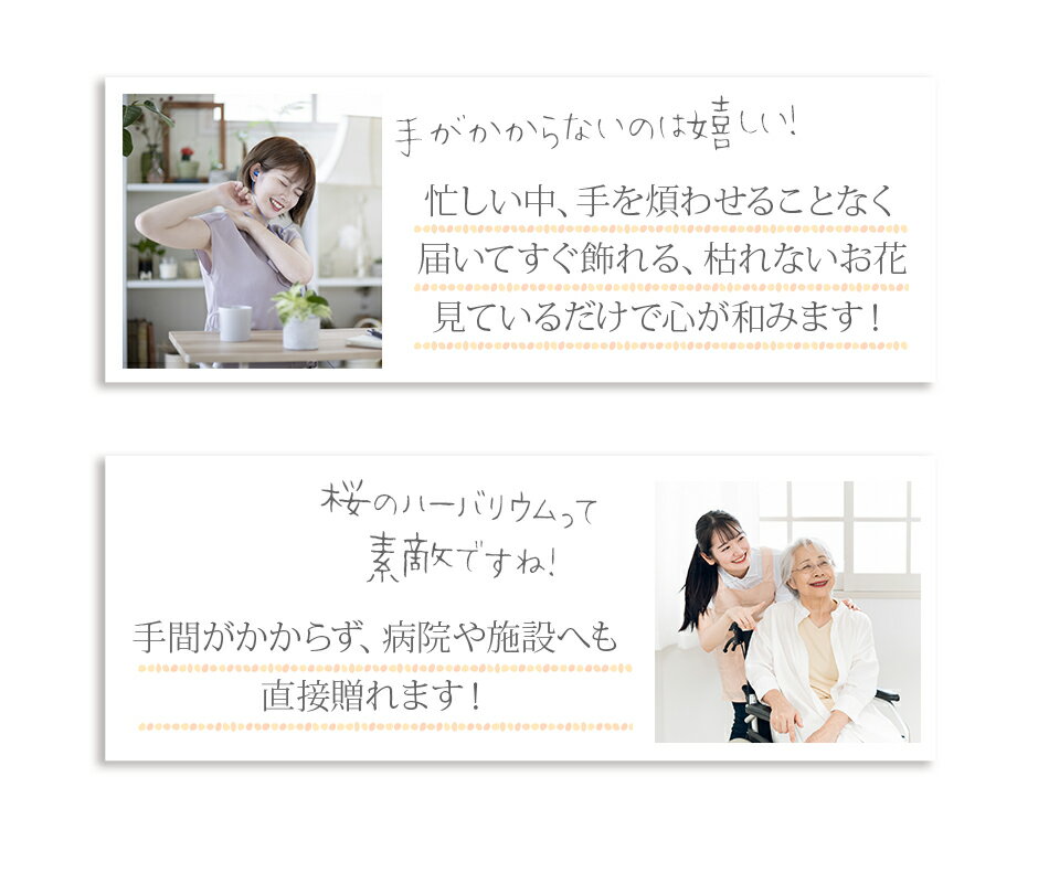 2026 �������� ��åԥ� �դ� �ϡ��Хꥦ�� ���� / ������ ������ ���ˤ� �뺧�� ���ե� �ץ쥼��� �֤Ȥ��ۻ� �࿦ �� �� ������ �ץꥶ���֥ɥե� ���å��� �����ҡ� �ǥ��ե� ���� 40�� 50�� 60�� 70�� 80�� ���� ������ ���Ф������ ¹ ��� ��