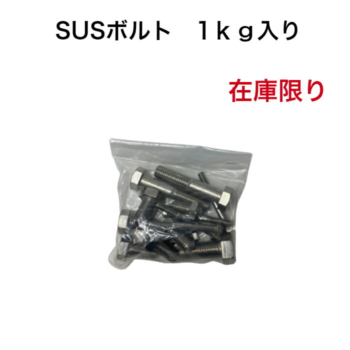 送料無料 在庫限り 1kg入り SUSボルト サイズ色々 訳あり商品