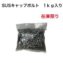 SUSキャップボルト 1kg サイズ色々 M4 M5 M6 M8 DIY 工場 工事 ボルト 訳あり商品