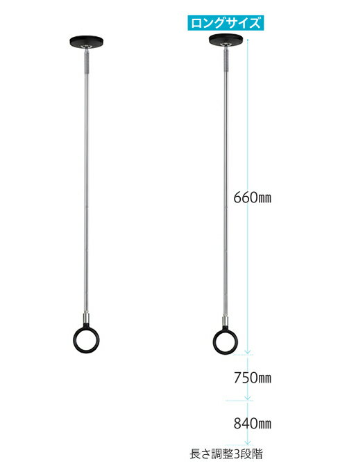   ݂  SPC^O^Cv y66-75-84cmzBKF(ubN) 