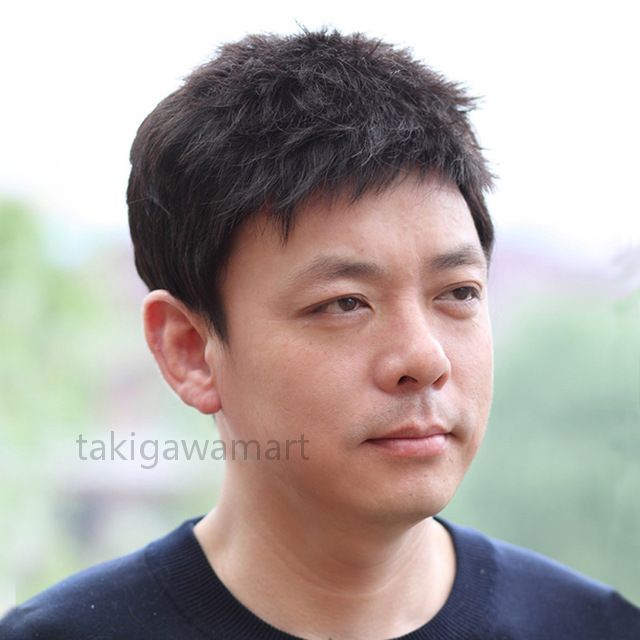 男性用ウィッグ ショート メンズ 人毛100% フルウィッグ 手植え 通気性抜群 カジュアル ビジネス かつら サイズ調整可能 耐熱