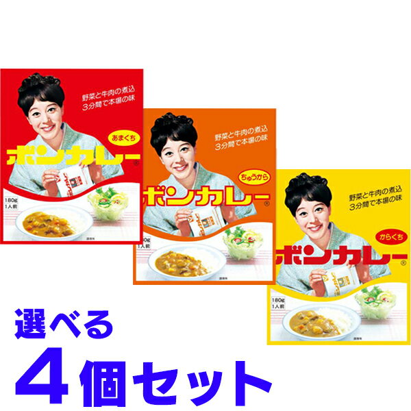 ボンカレー 沖縄限定 選べる3種類 4個セット 宅配便送料コミ価格