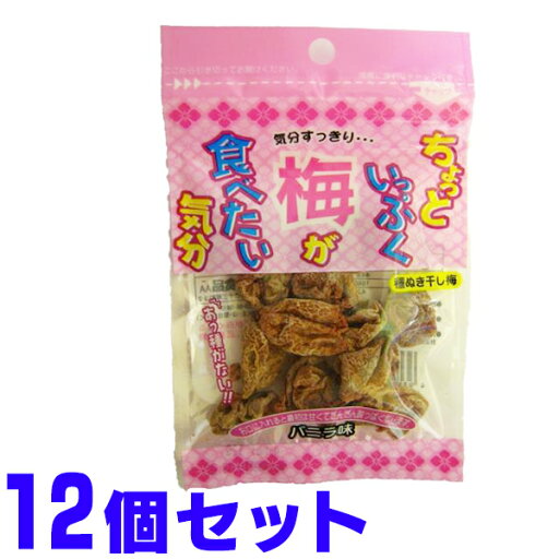 ちょっといっぷく 梅 が食べたい気分 バニラ味 プチ 10g×12個 船メール便 ちょっといっぷく 梅 が食べたい気分 バニラ味 プチ 10g×12個 船メール便